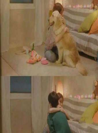 《我这像狗一样的爱情》