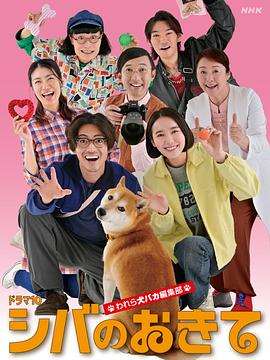 柴犬的规矩～我们这群狗痴编辑部～海报